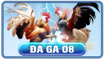 Đá gà XX88